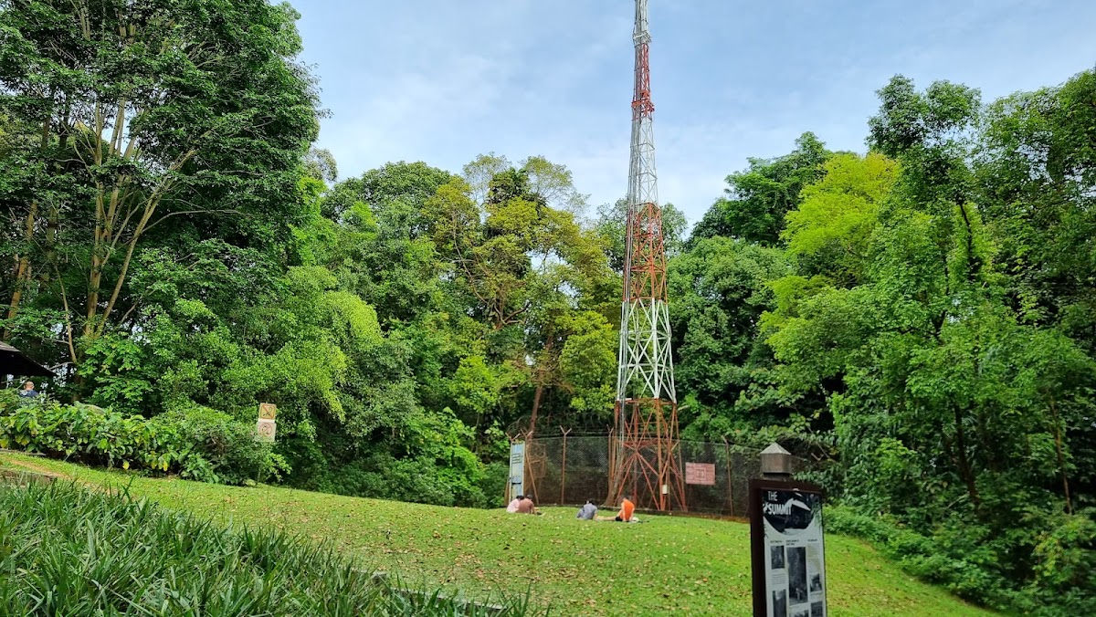 Bukit Timah Nature Reserve photo 9