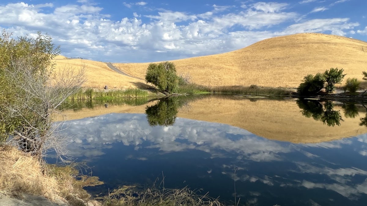 Contra Loma Regional Park photo 5