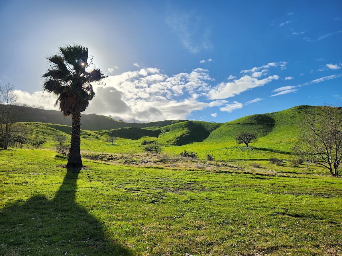 Contra Loma Regional Park photo 6