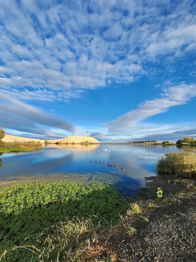 Contra Loma Regional Park photo 7