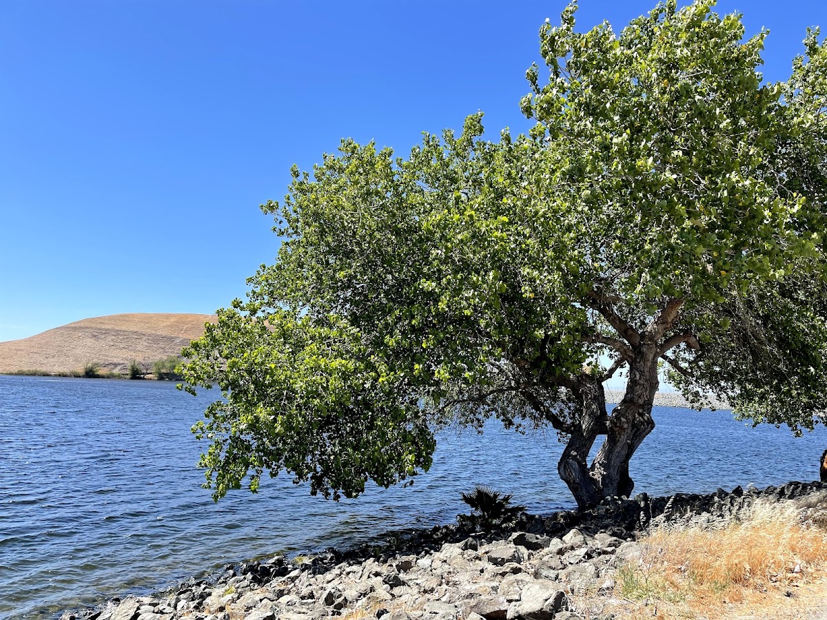 Contra Loma Regional Park photo 9