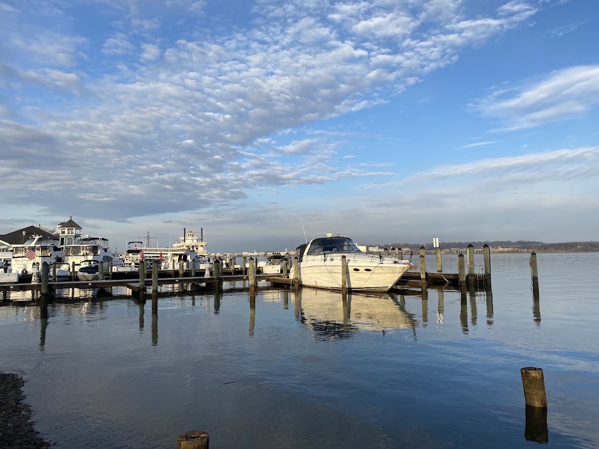 Waterfront Park photo 8