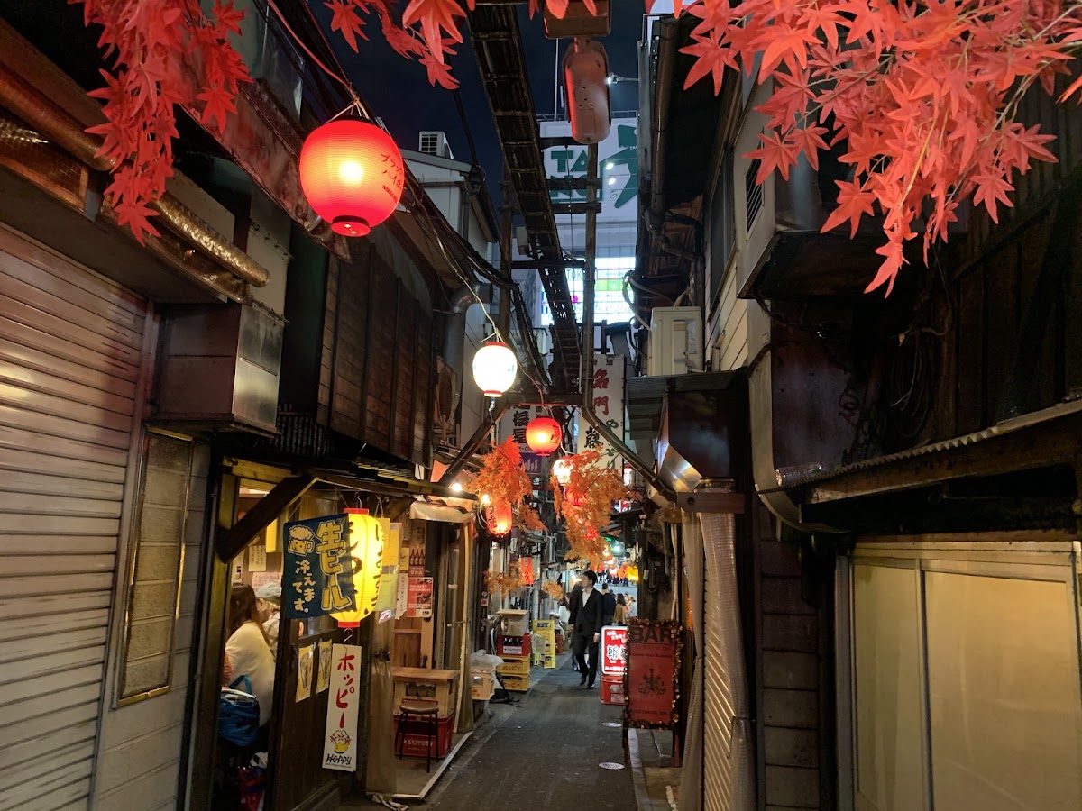 Omoide Yokocho Memory Lane