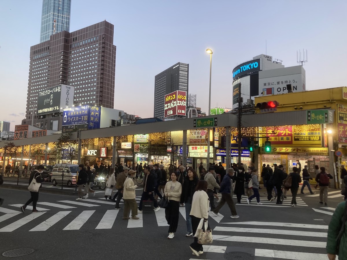 Omoide Yokocho Memory Lane photo 4