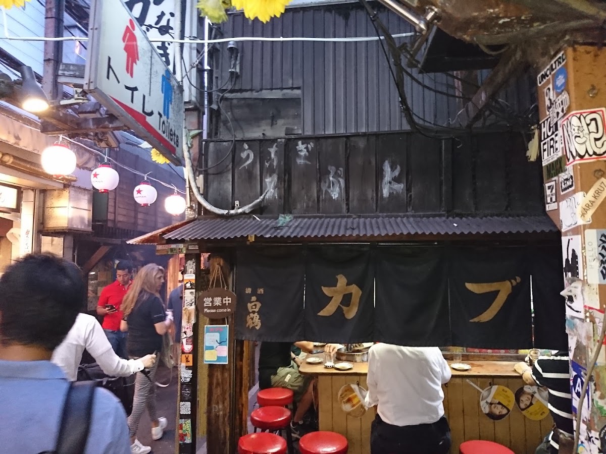 Omoide Yokocho Memory Lane photo 5