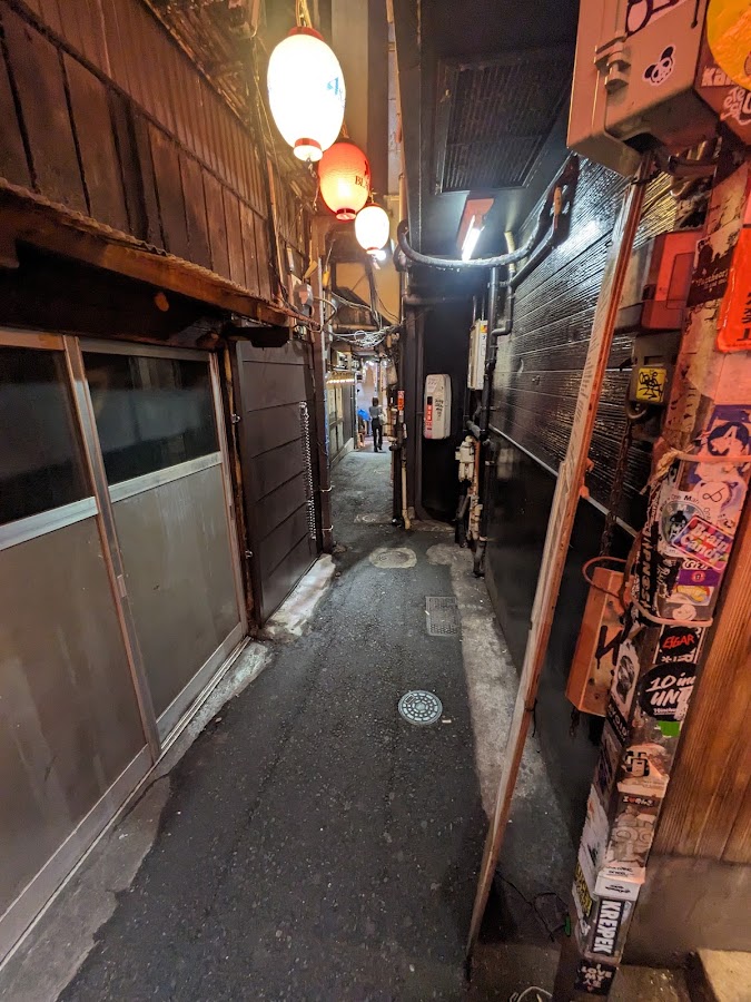 Omoide Yokocho Memory Lane photo 6