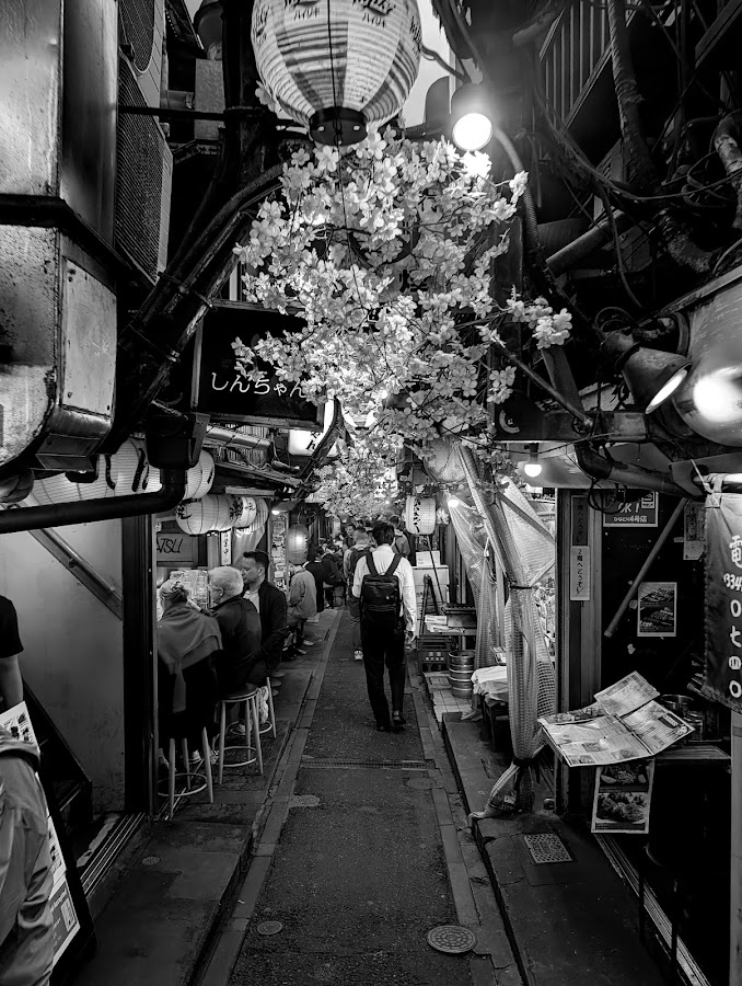 Omoide Yokocho Memory Lane photo 10