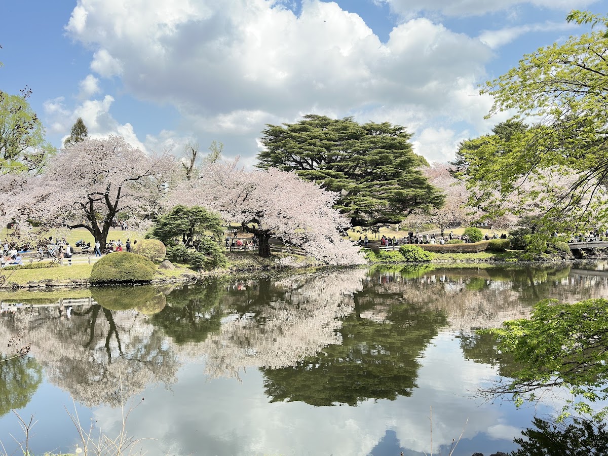 Shinjuku Gyoen National Garden photo 2