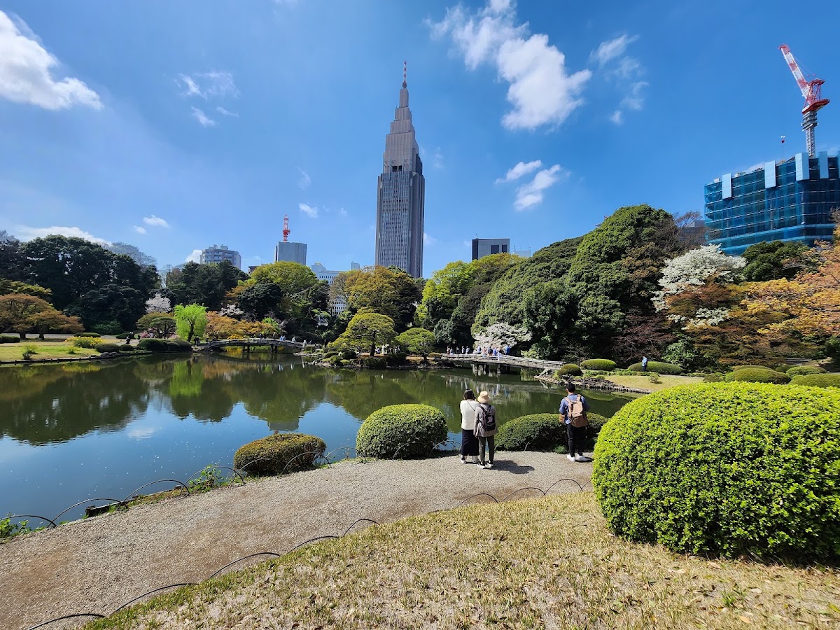 Shinjuku Gyoen National Garden photo 4