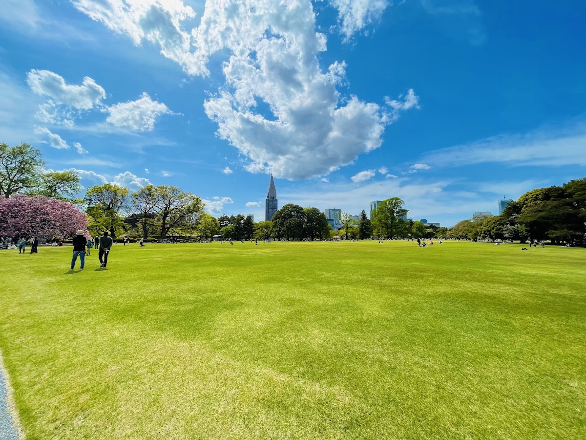 Shinjuku Gyoen National Garden photo 5