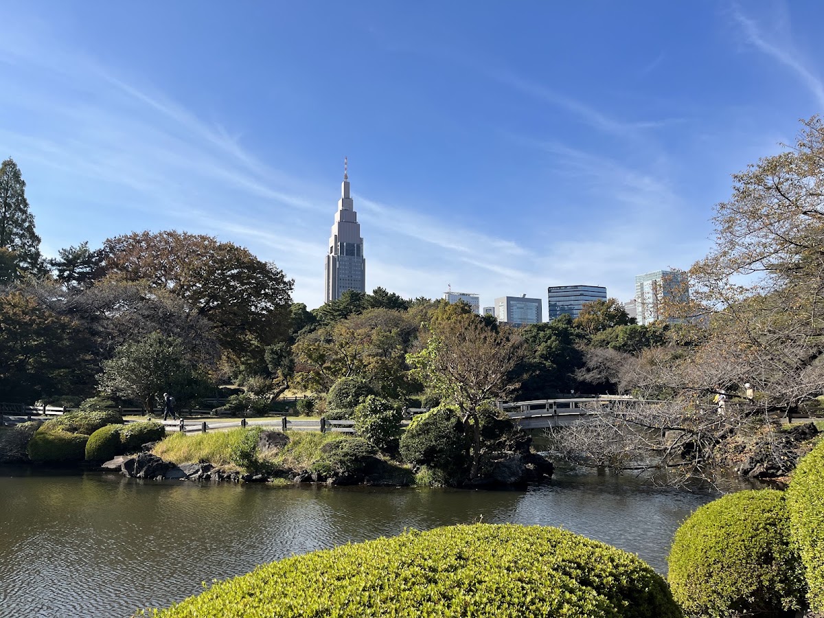 Shinjuku Gyoen National Garden photo 7