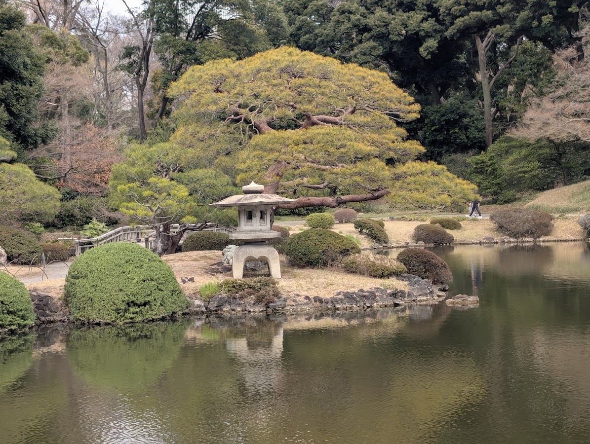 Shinjuku Gyoen National Garden photo 8