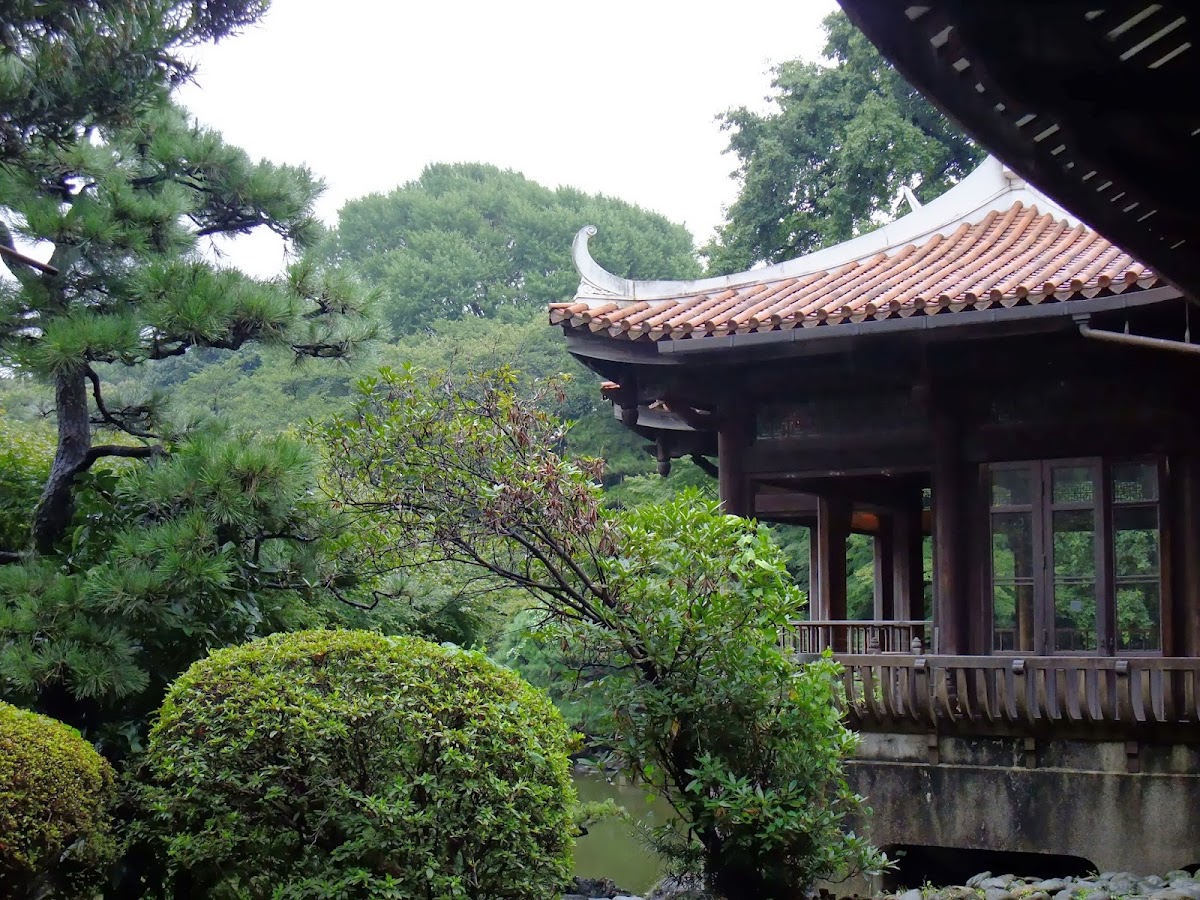 Shinjuku Gyoen National Garden photo 9