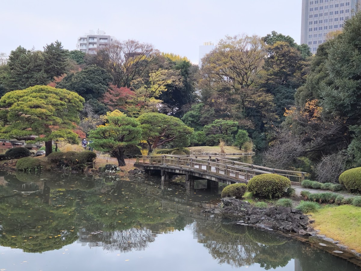 Shinjuku Gyoen National Garden photo 10