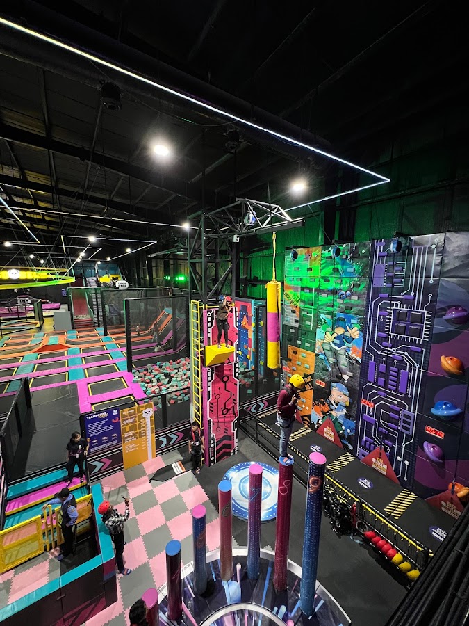 Loco Bear - The Ultimate Entertainment Hub photo 2