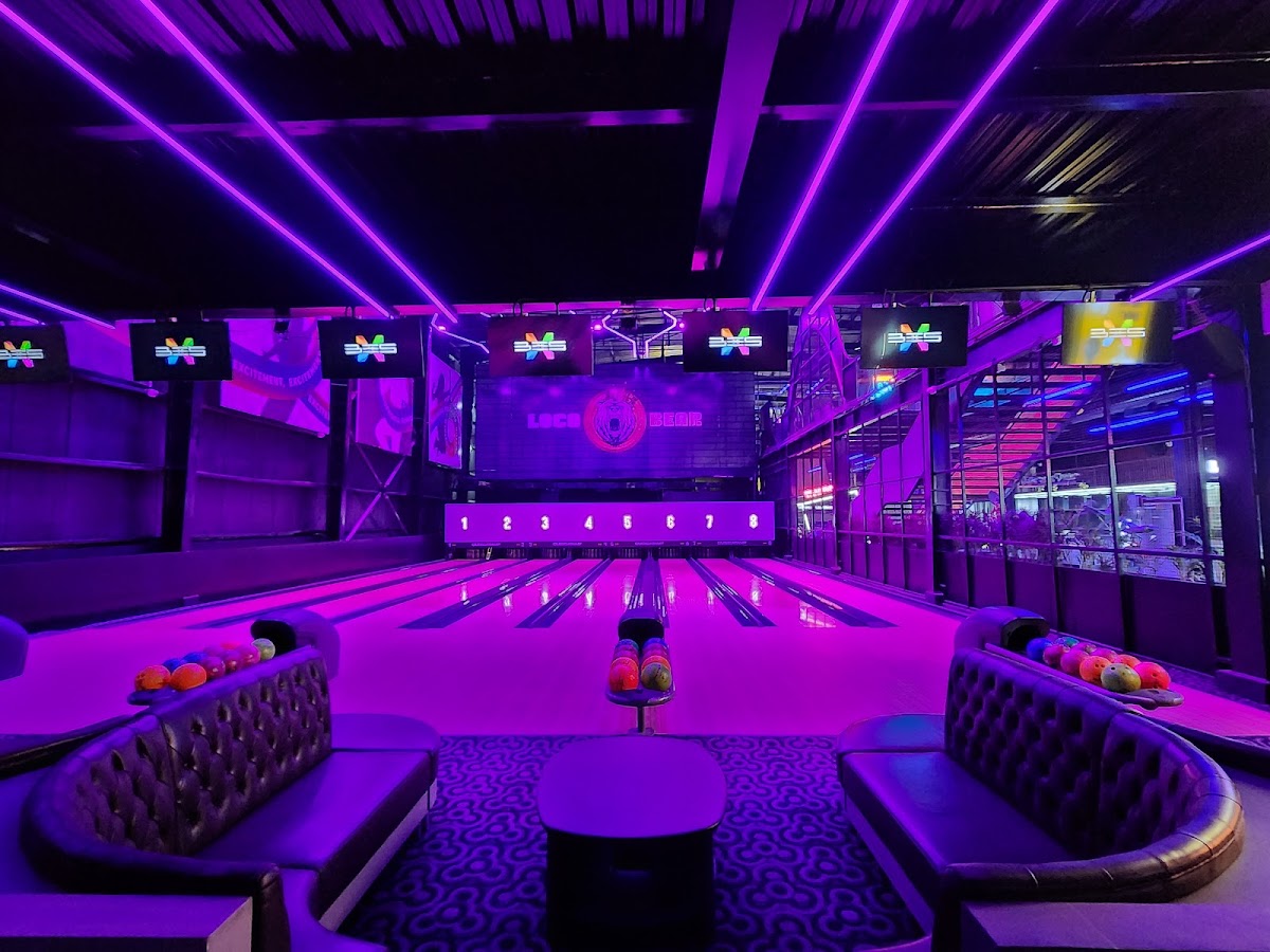 Loco Bear - The Ultimate Entertainment Hub photo 3