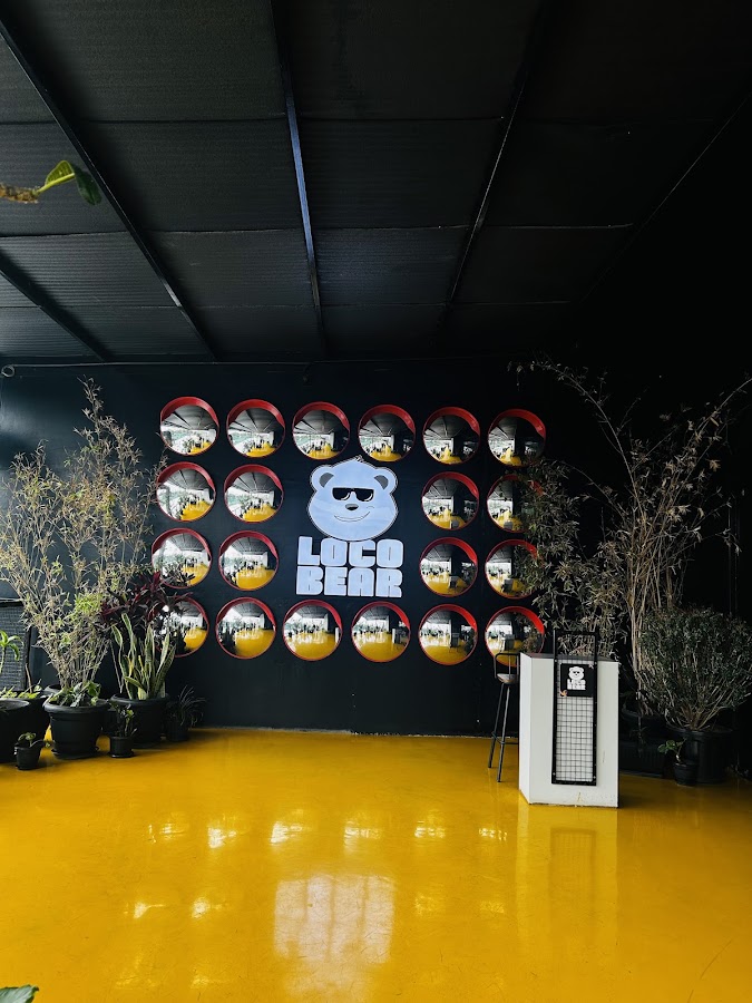 Loco Bear - The Ultimate Entertainment Hub photo 5