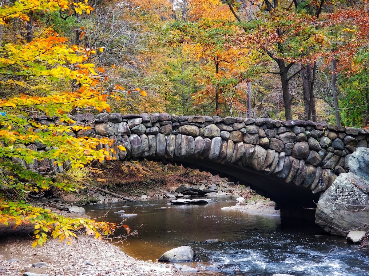 Rock Creek Park photo 2