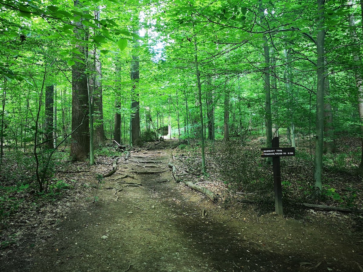 Rock Creek Park photo 3