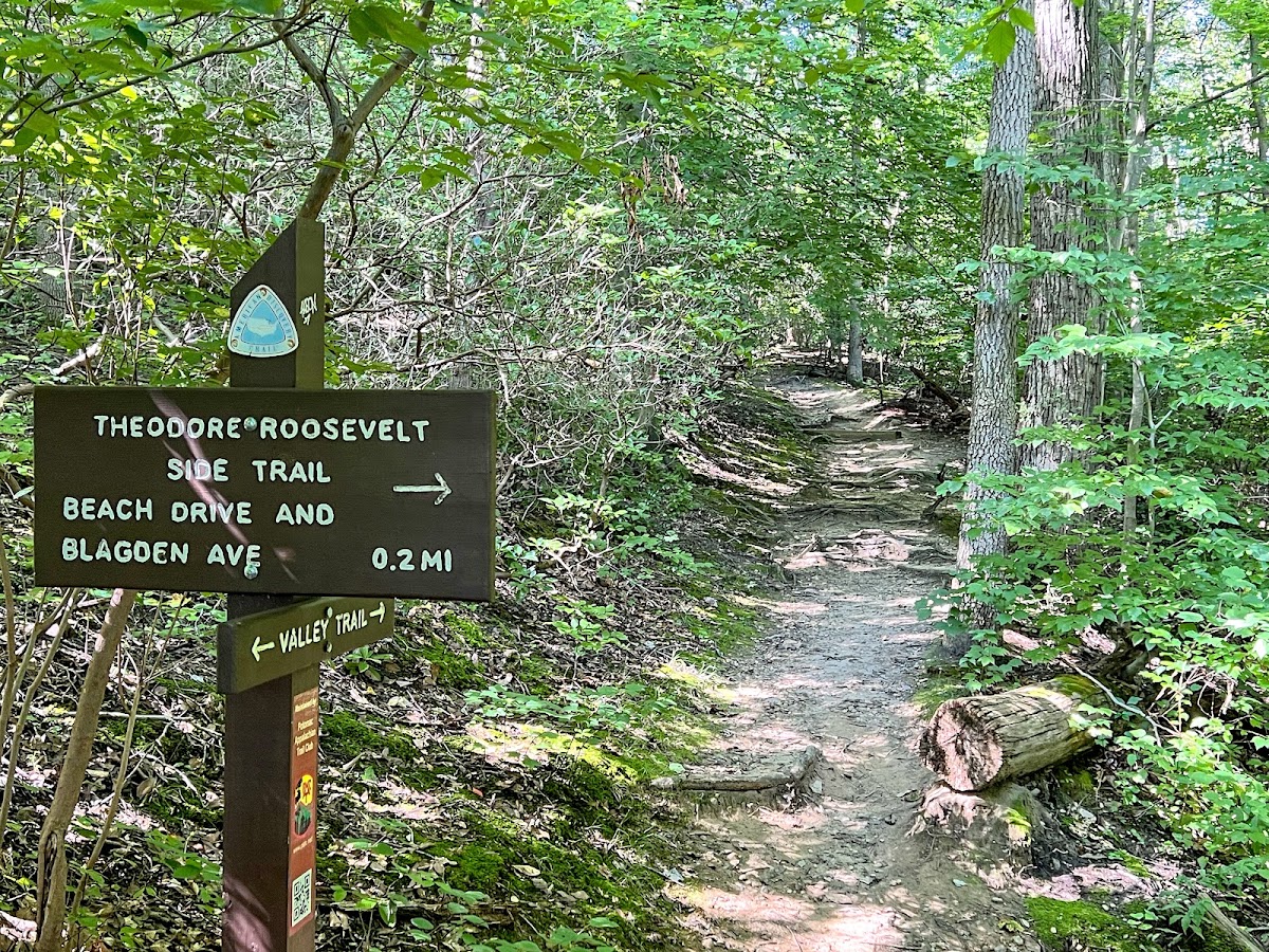 Rock Creek Park photo 5