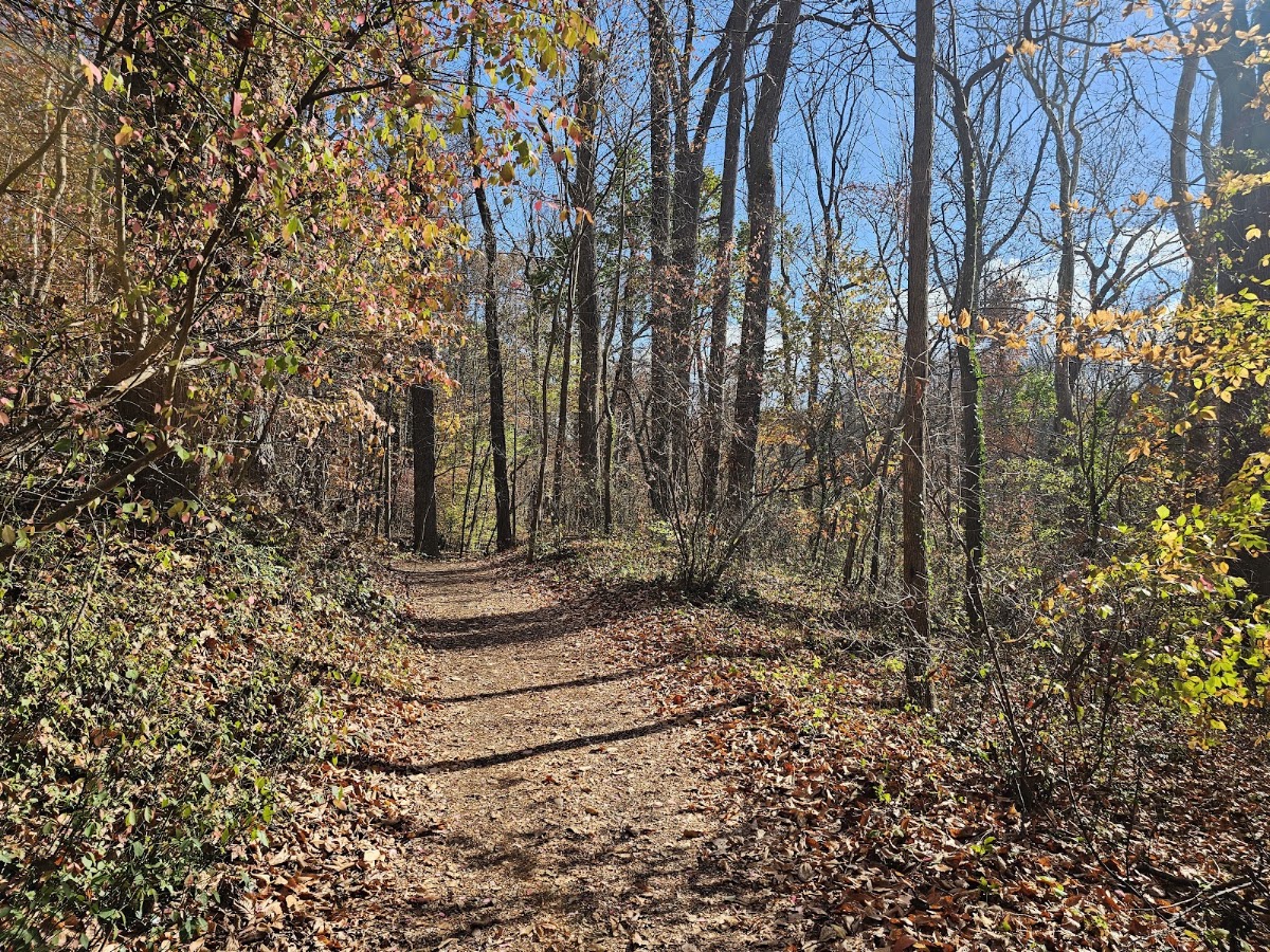 Rock Creek Park photo 8