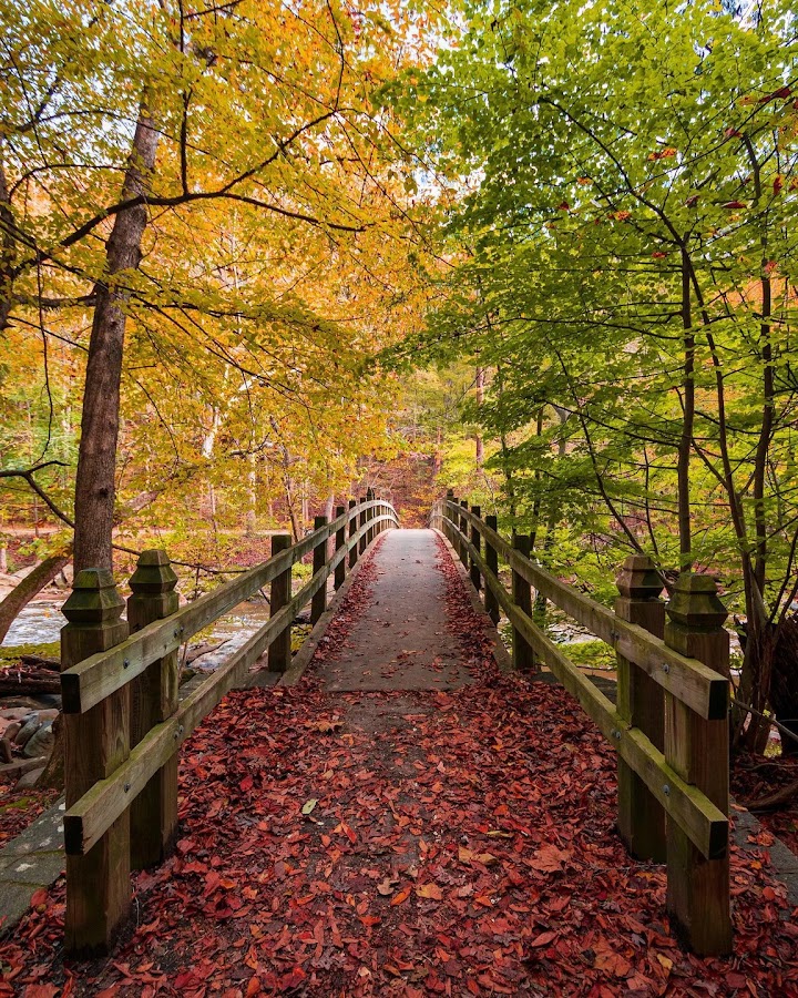 Rock Creek Park photo 9