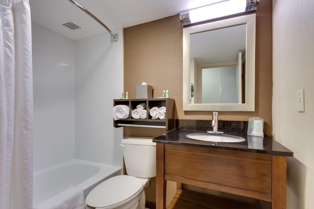 Holiday Inn Express Washington DC SW - Springfield by IHG photo 4