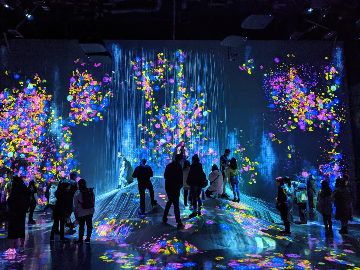 teamLab Borderless: MORI Building DIGITAL ART MUSEUM photo 2