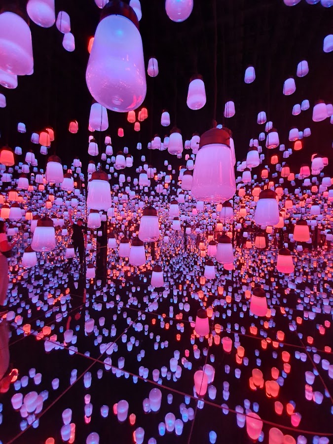 teamLab Borderless: MORI Building DIGITAL ART MUSEUM photo 3