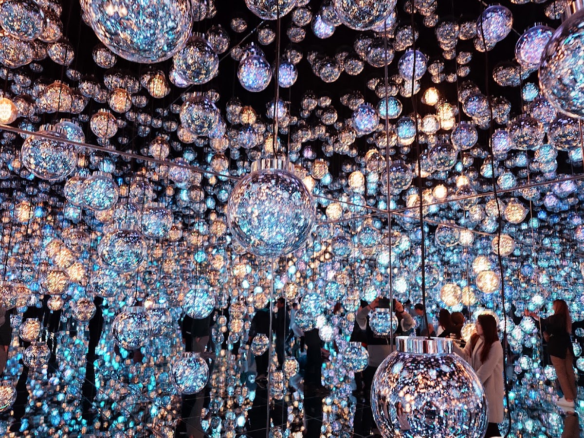 teamLab Borderless: MORI Building DIGITAL ART MUSEUM photo 4