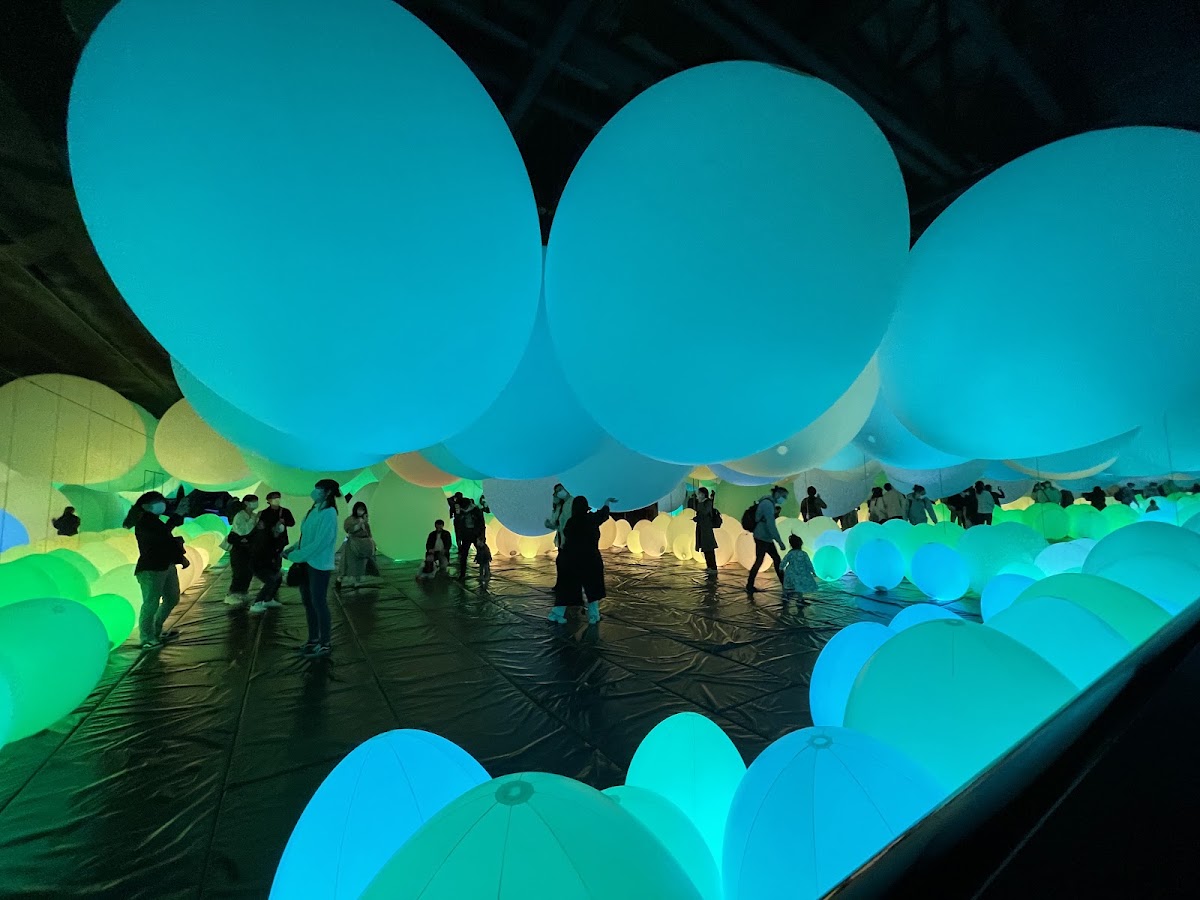 teamLab Borderless: MORI Building DIGITAL ART MUSEUM photo 5