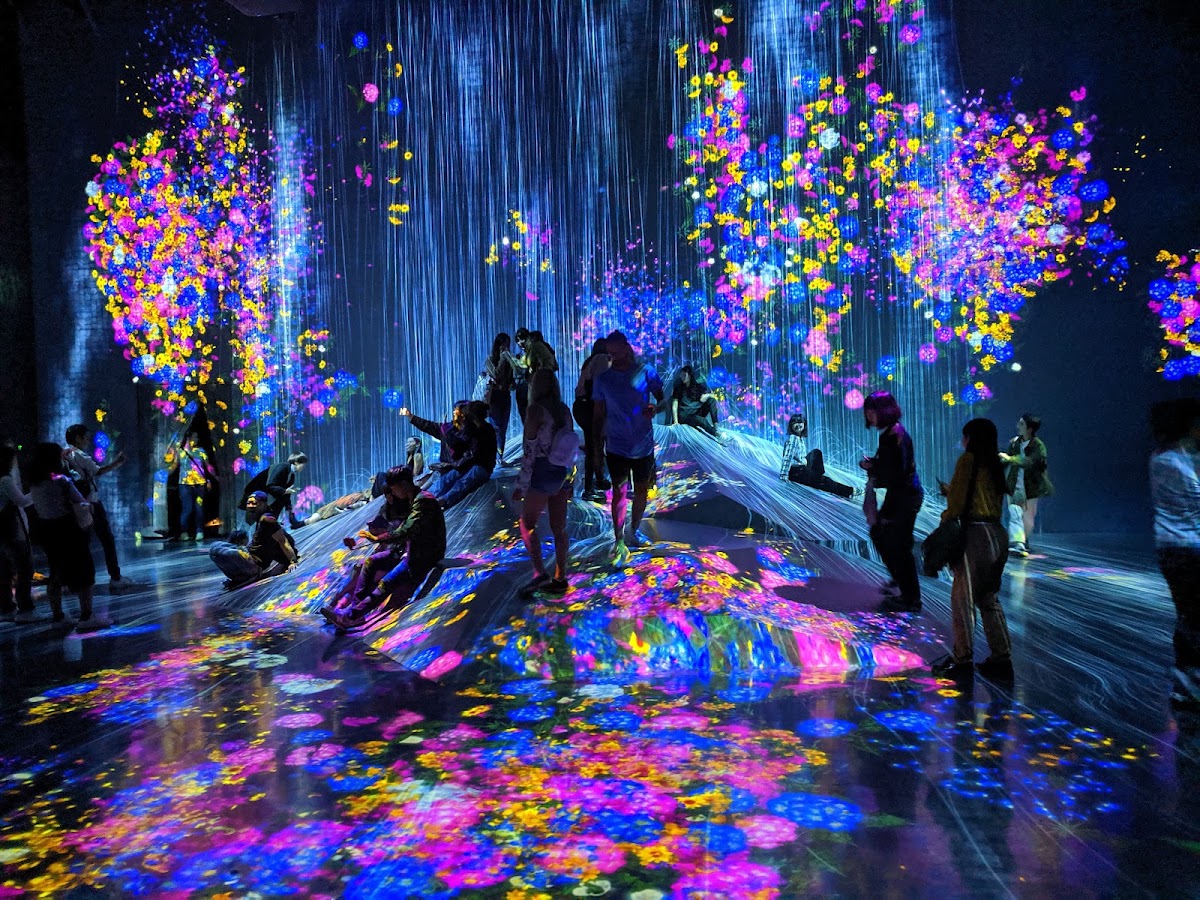 teamLab Borderless: MORI Building DIGITAL ART MUSEUM photo 6
