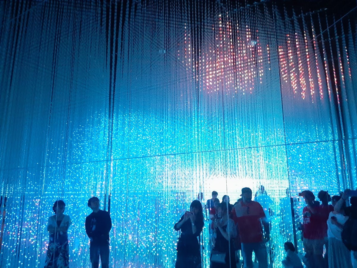 teamLab Borderless: MORI Building DIGITAL ART MUSEUM photo 7