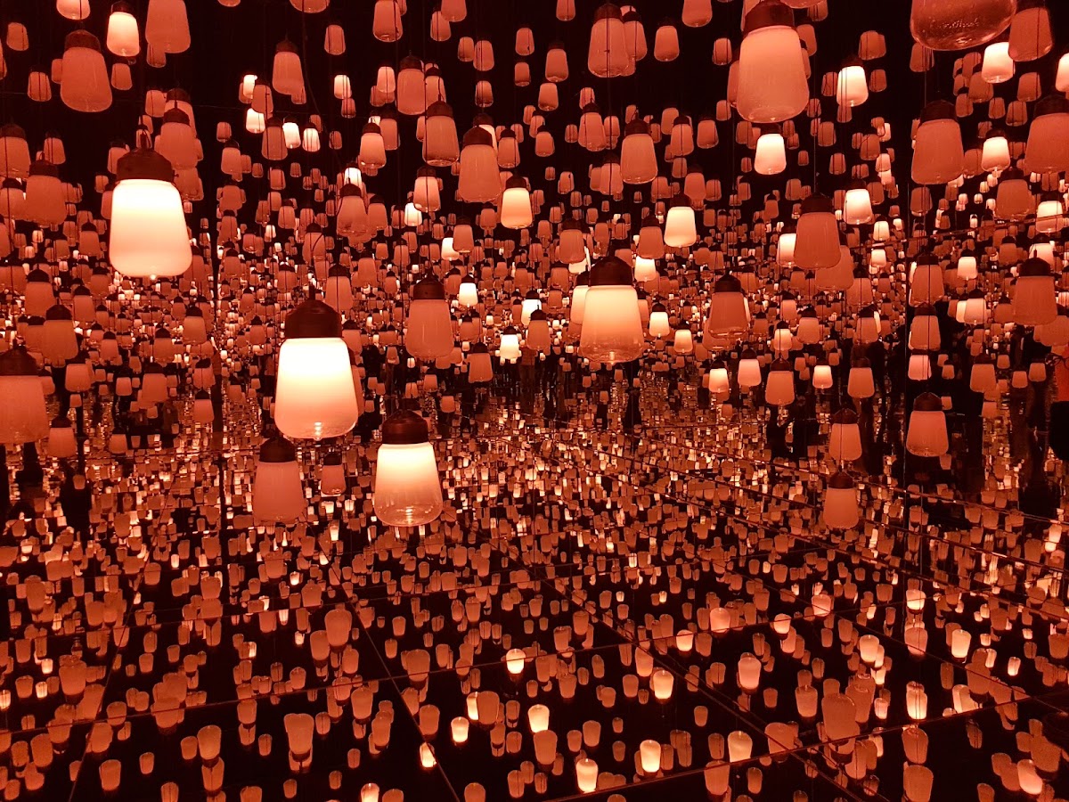 teamLab Borderless: MORI Building DIGITAL ART MUSEUM photo 8