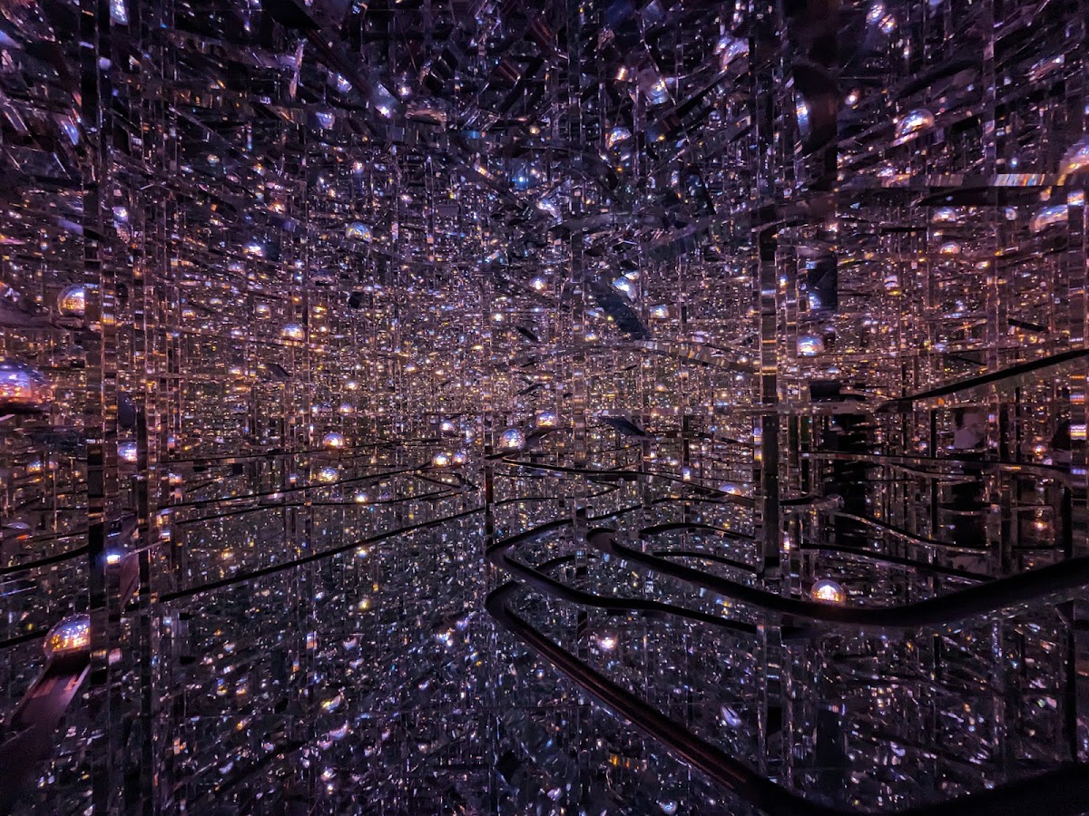 teamLab Borderless: MORI Building DIGITAL ART MUSEUM photo 9