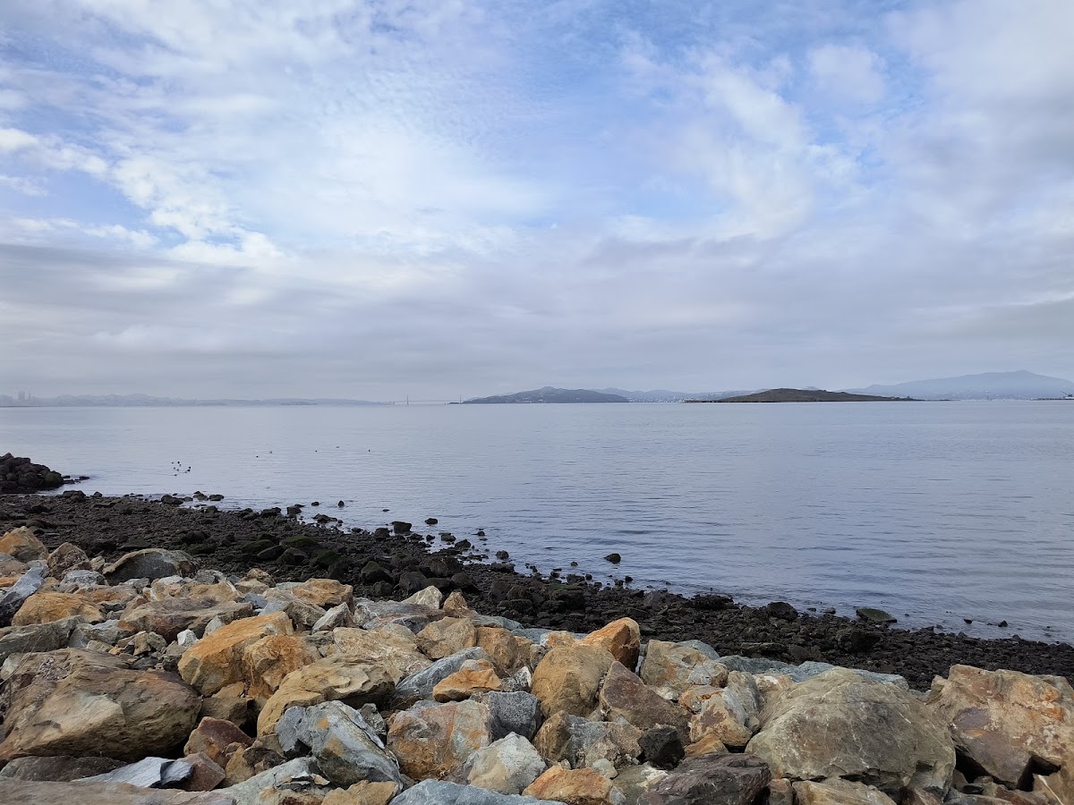 Point Isabel Dog Park