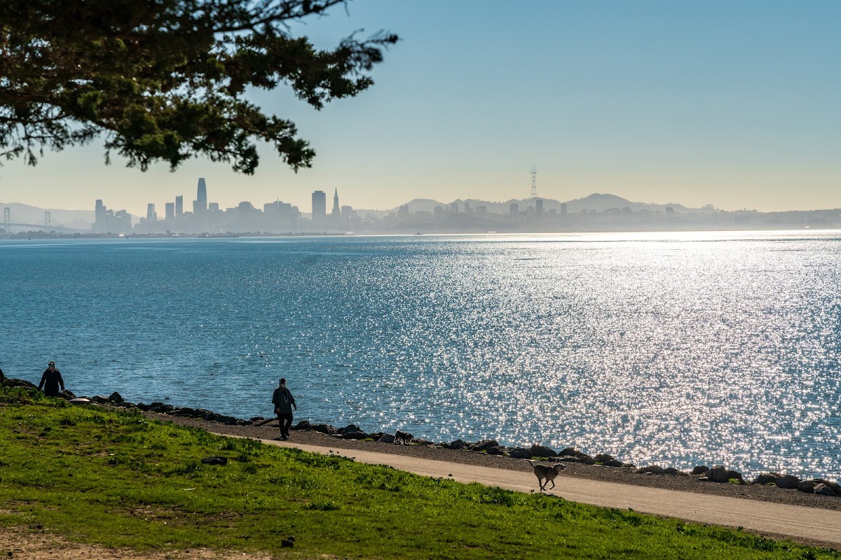 Point Isabel Dog Park photo 3