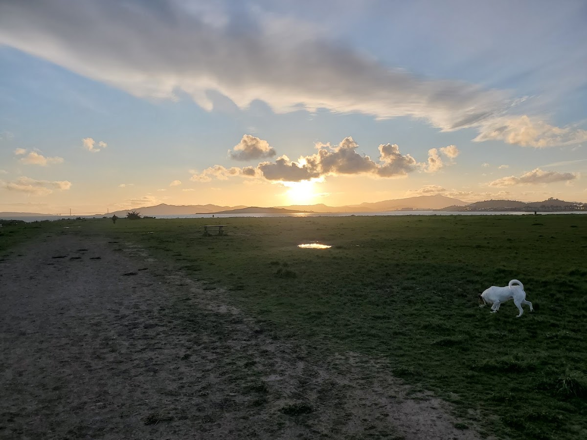 Point Isabel Dog Park photo 6