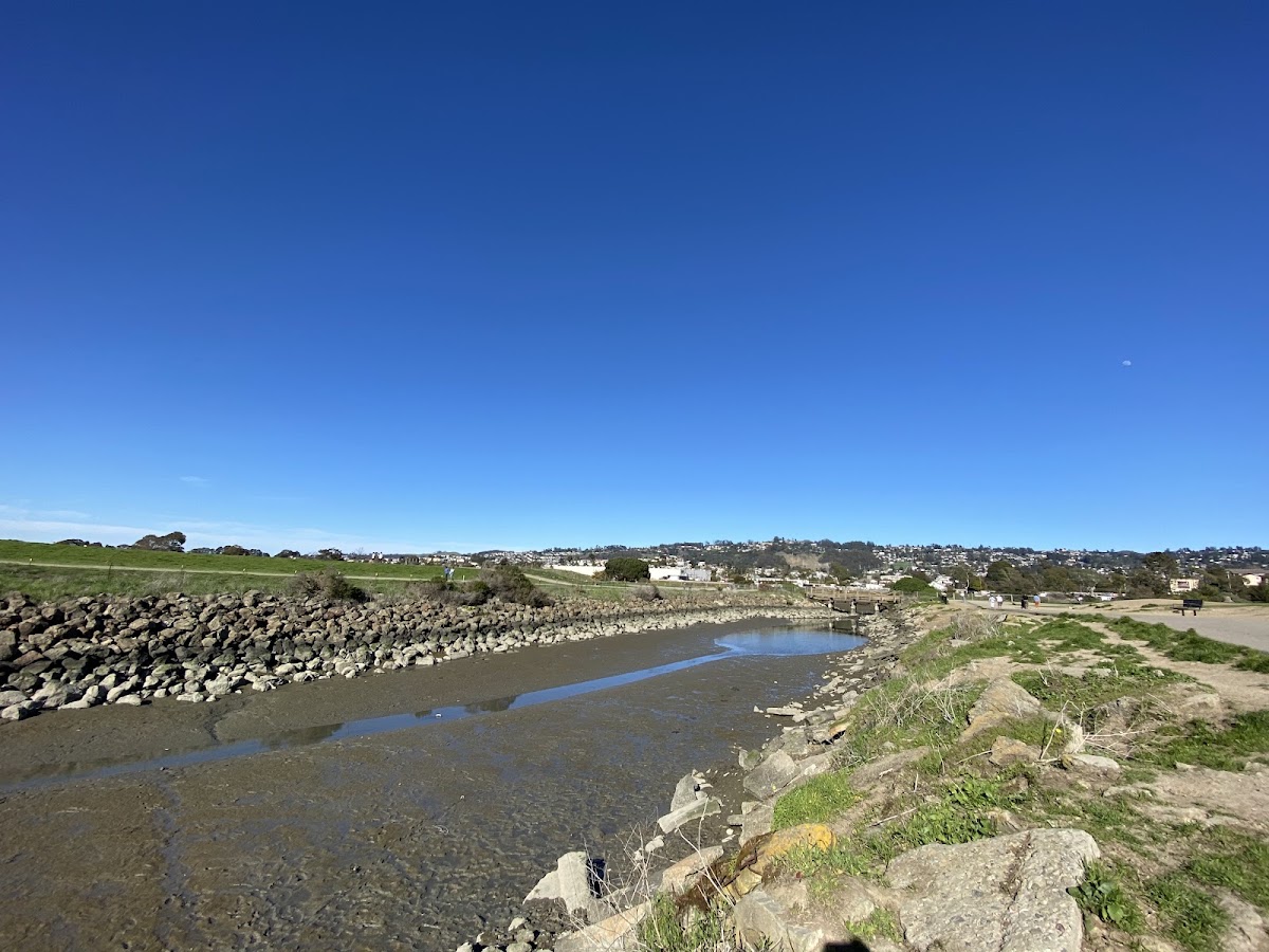 Point Isabel Dog Park photo 7