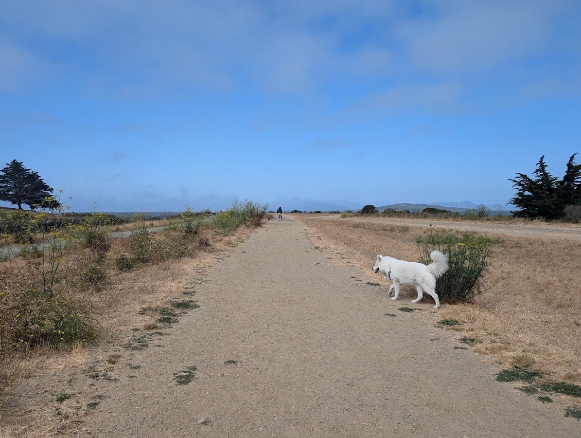 Point Isabel Dog Park photo 10