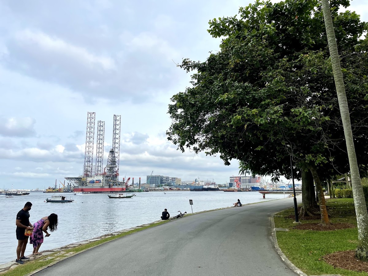 West Coast Park photo 3