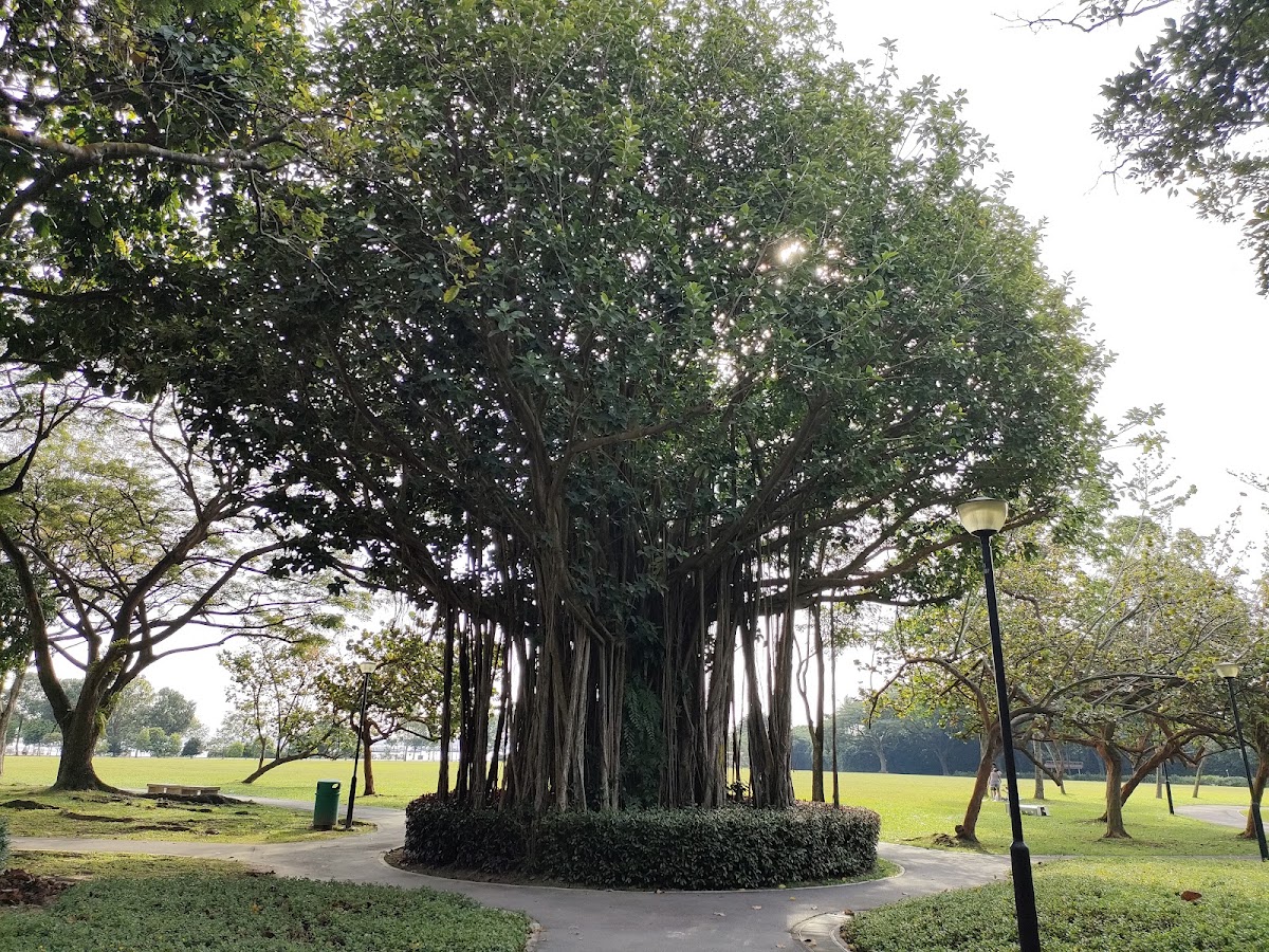 West Coast Park photo 5