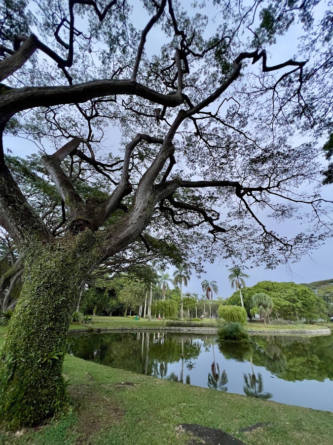 West Coast Park photo 8