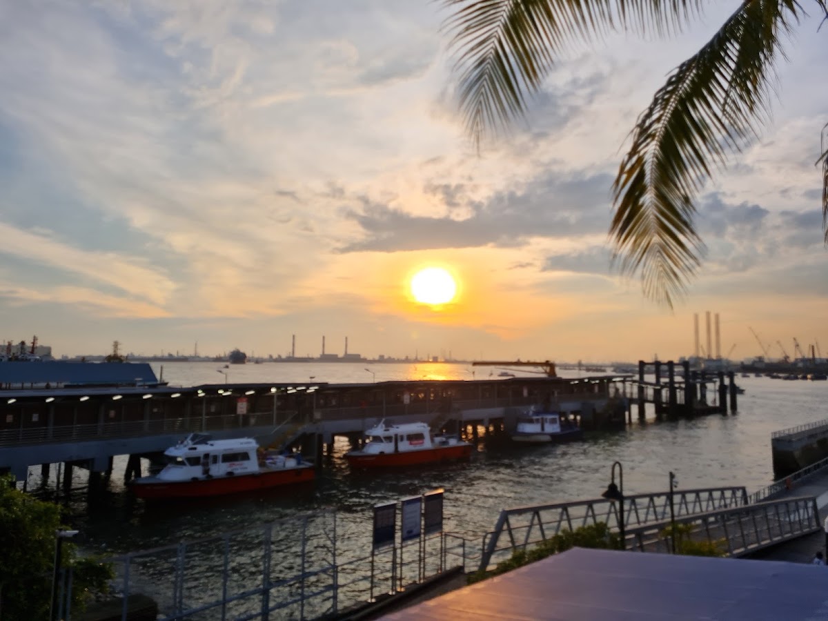West Coast Park photo 9
