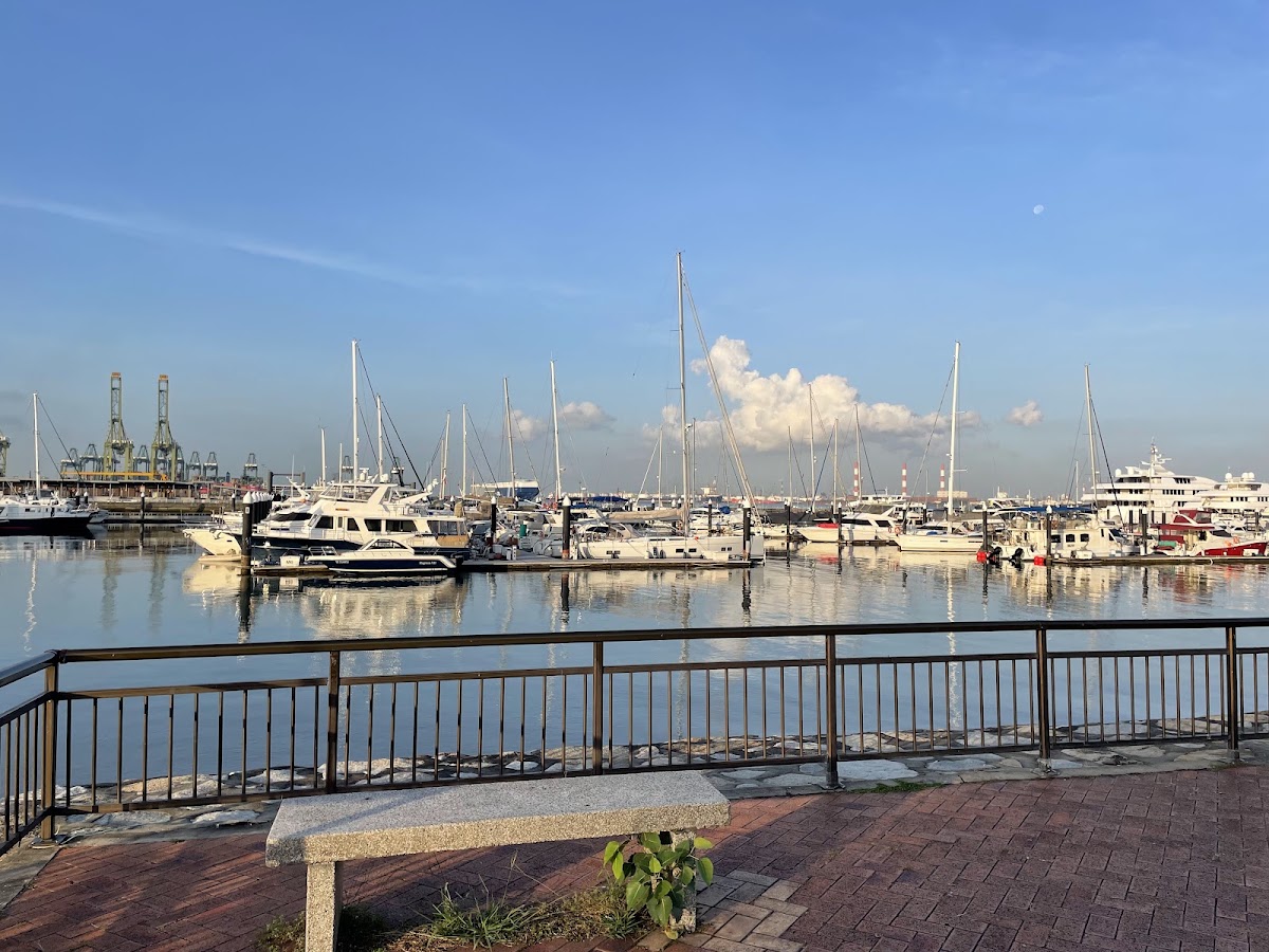 West Coast Park photo 10