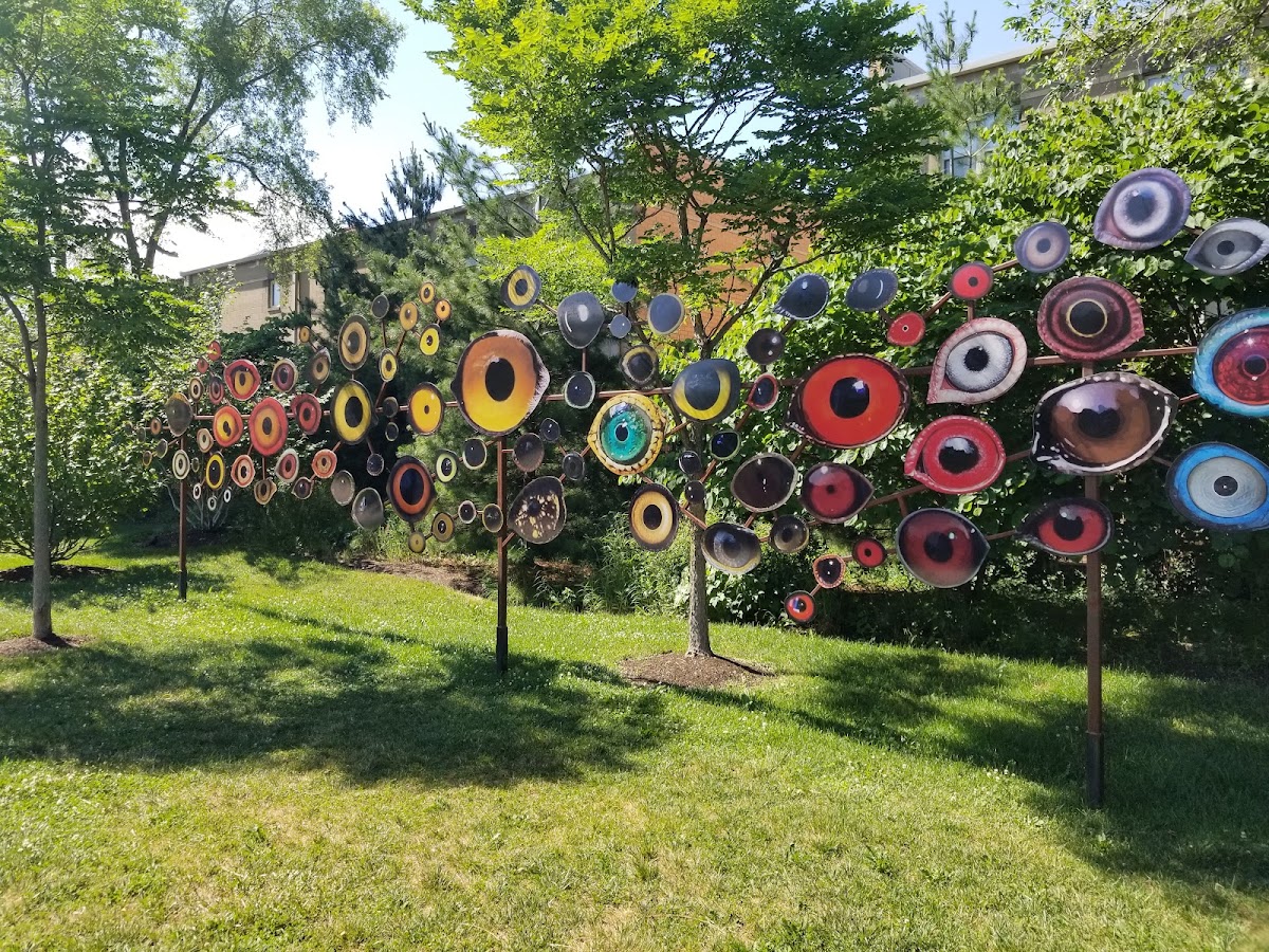 The 606 photo 3
