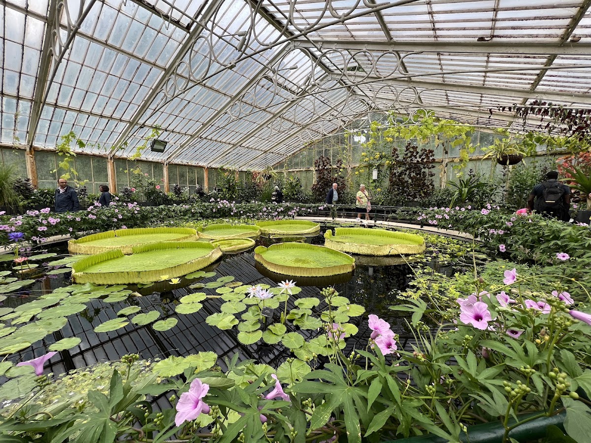 Royal Botanic Gardens, Kew photo 3