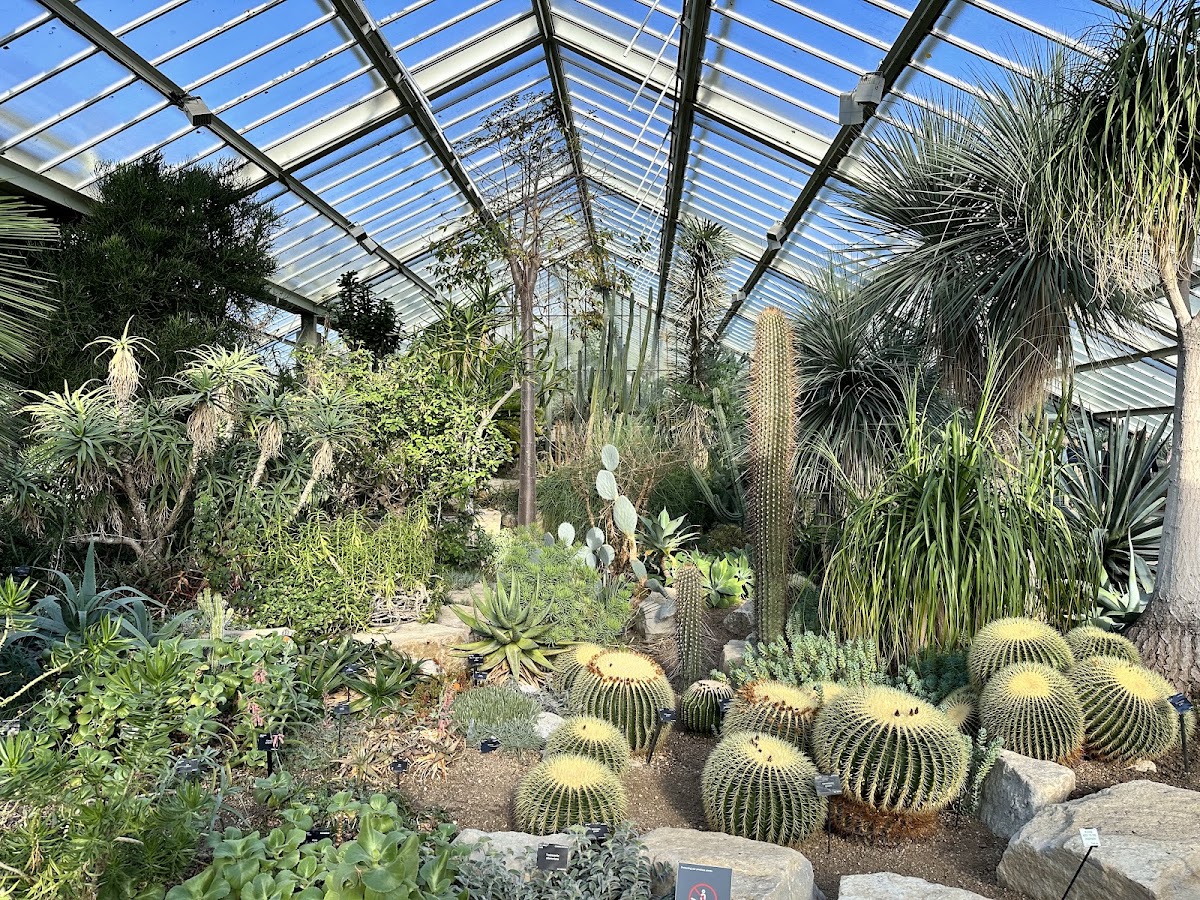 Royal Botanic Gardens, Kew photo 8
