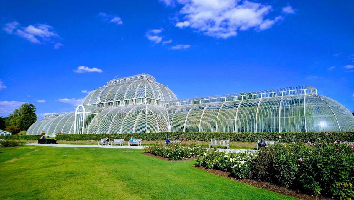 Royal Botanic Gardens, Kew photo 9