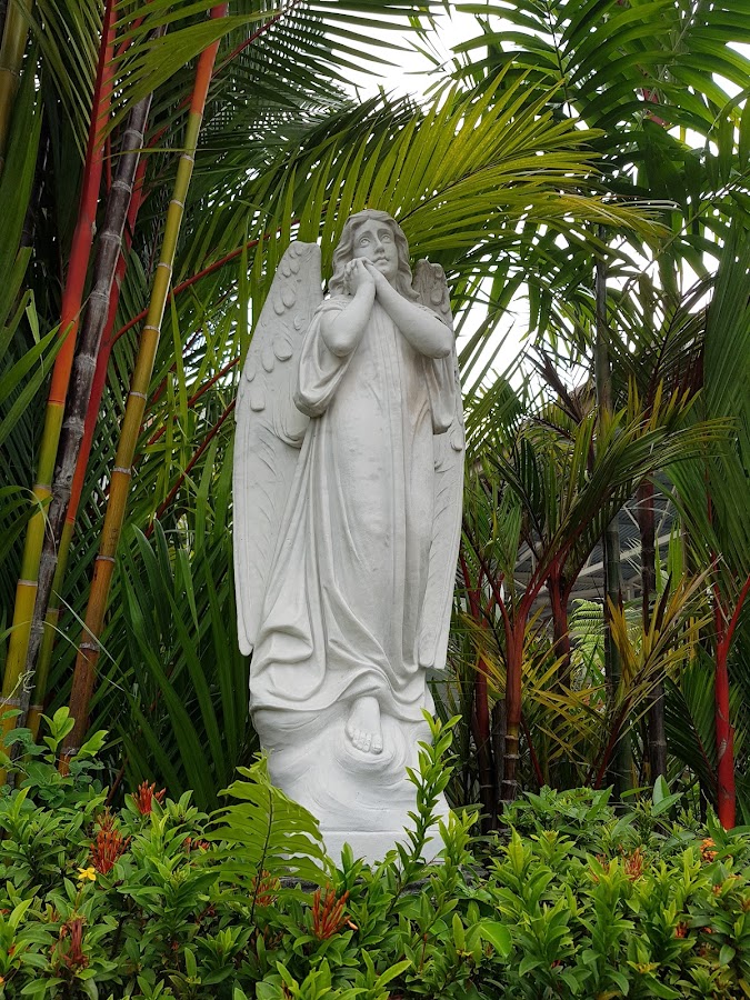 Church of the Nativity of the Blessed Virgin Mary (Singapore) photo 10